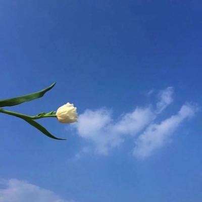 逆转三国游戏下载