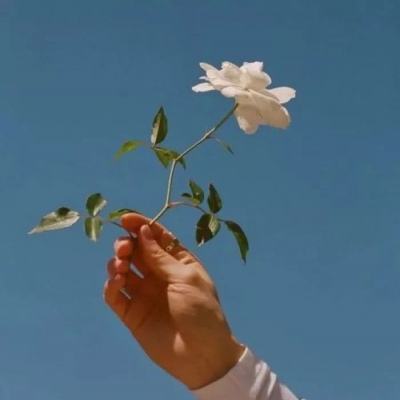 fog乱斗手机版下载