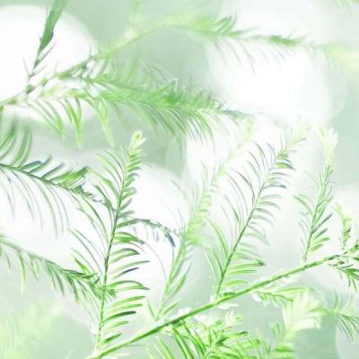 浪客剑心游戏