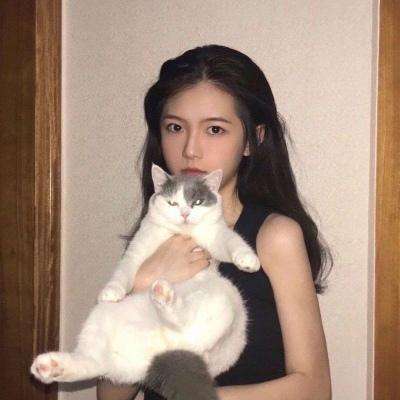 另一个伊甸园超越时空的猫手游下载